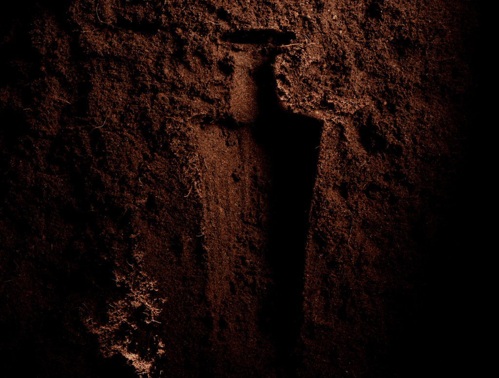 Midleton Very Rare Chapter 4 impression in soil